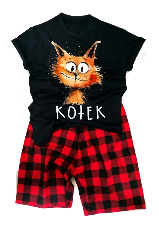 kotek.jpg