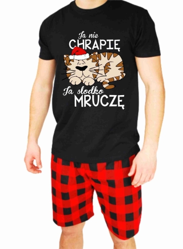 kot ja nie chrapię 2.jpg