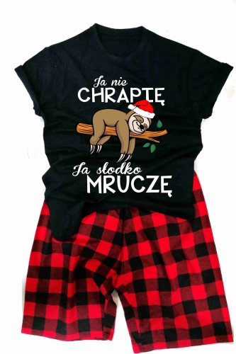 ja nie chrapię leniwiec on.jpg