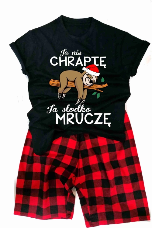 ja nie chrapię leniwiec on.jpg