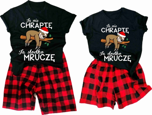 ja nie chrapię leniwiec.jpg