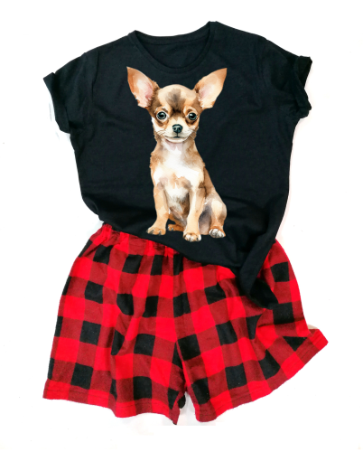 Chihuahuadamska.png