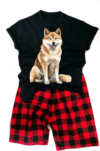 AkitaInumeska.png