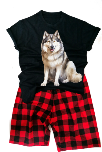 AlaskanMalamutemęska.png