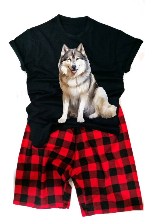 AlaskanMalamutemęska.png