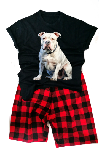 AmericanBulldogmęska.png