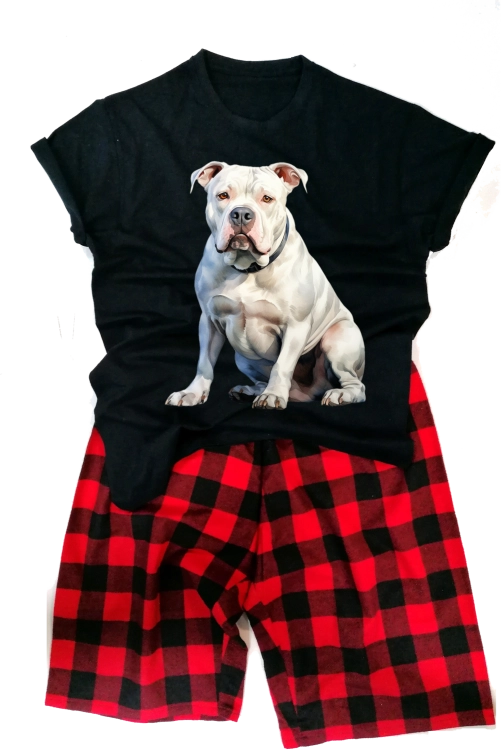 AmericanBulldogmęska.png