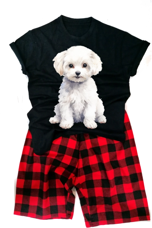 BichonFrisemęska.png