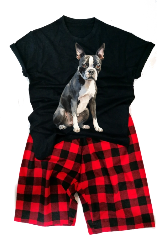 BostonTerriermeska.png