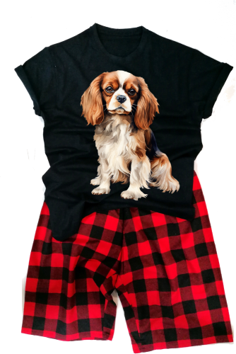 CavalierKing CharlesSpanielmeska.png