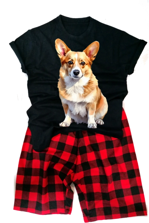 Corgimęska.png