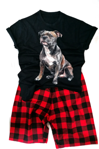 EnglishStaffordshireBullTerriermęska.png