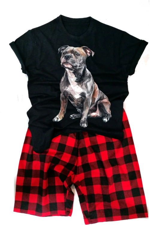 EnglishStaffordshireBullTerriermęska.png