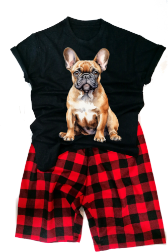 FrenchBulldogmęska.png