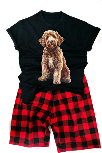 labradoodledmeska.png