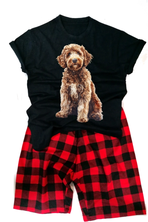 labradoodledmeska.png
