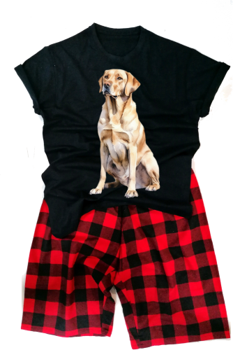 LabradorRetrievermeska.png