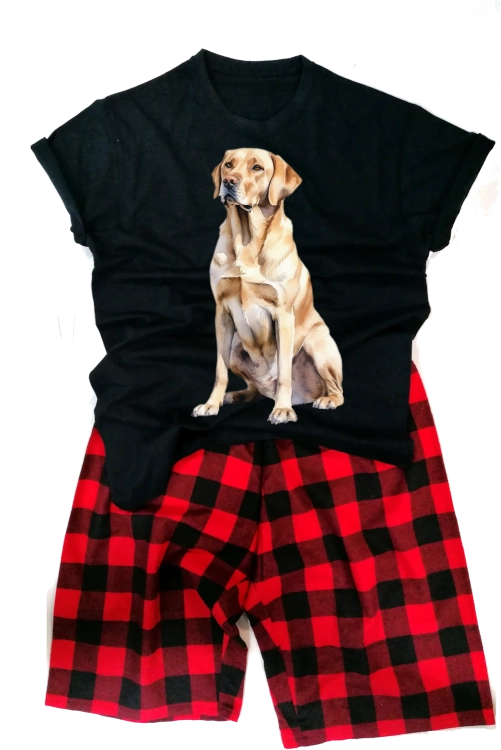LabradorRetrievermeska.png