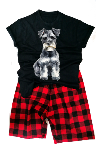 schnauzerMINmeska.png