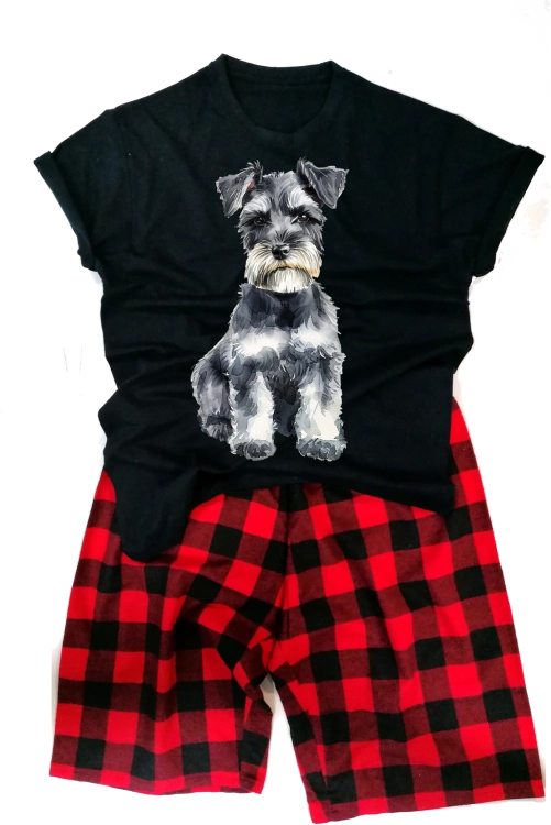 schnauzerMINmeska.png