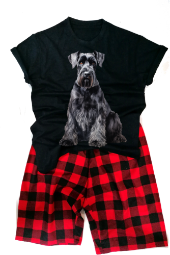 schnauzerDUZmęska.png