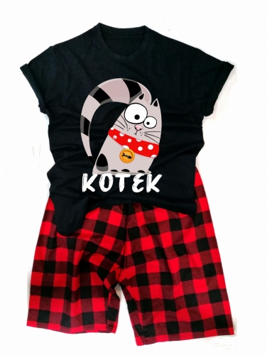 kotek.jpg