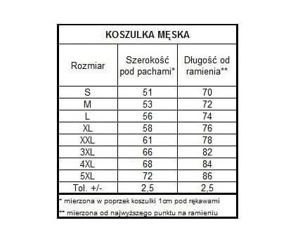 męska koszulka.jpg