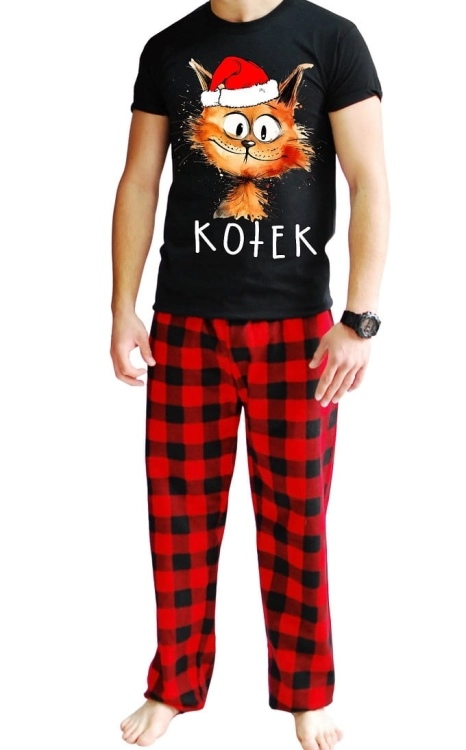 kotek święta2.jpg