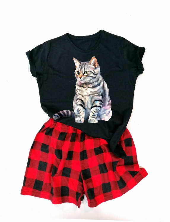 American Shorthair.jpg