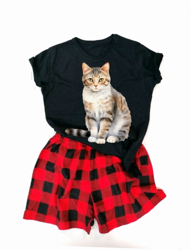 American Wirehair.jpg