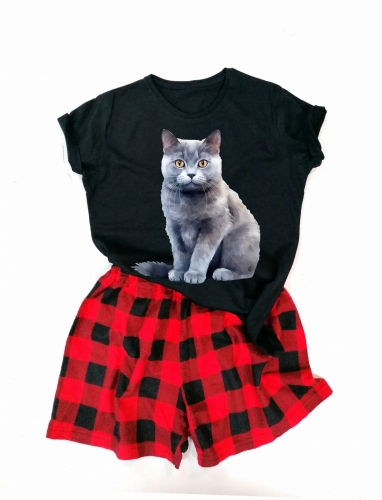 Chartreux.jpg