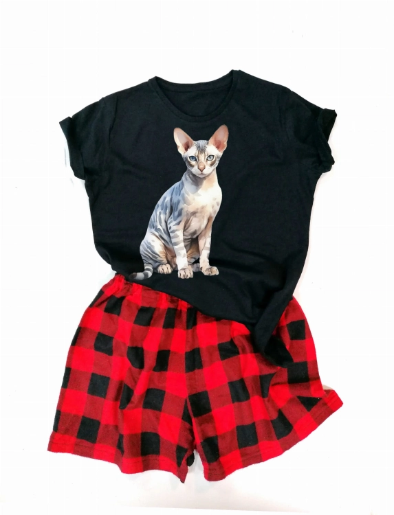 Don Sphynx.jpg