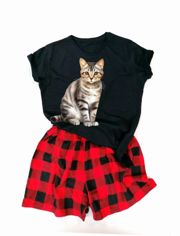 European Shorthair.jpg
