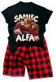 samiec alfa miś2.jpg