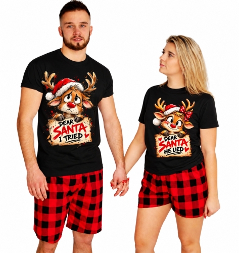 dear santa.jpg